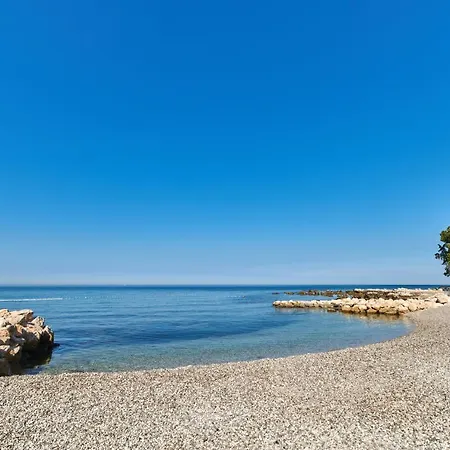 Istrian Plava Laguna *