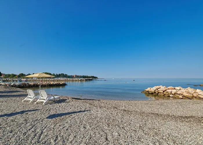 Villa Istrian Plava Laguna