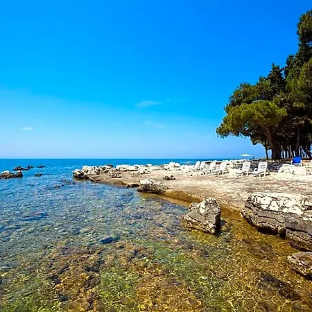 Istrian Plava Laguna אומאג