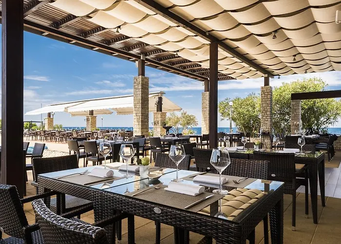 Vila Istrian Plava Laguna