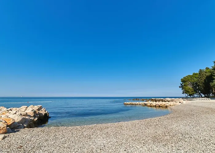 Istrian Plava Laguna *